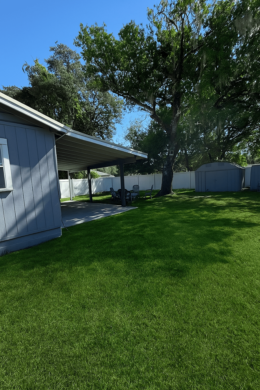 Back yard