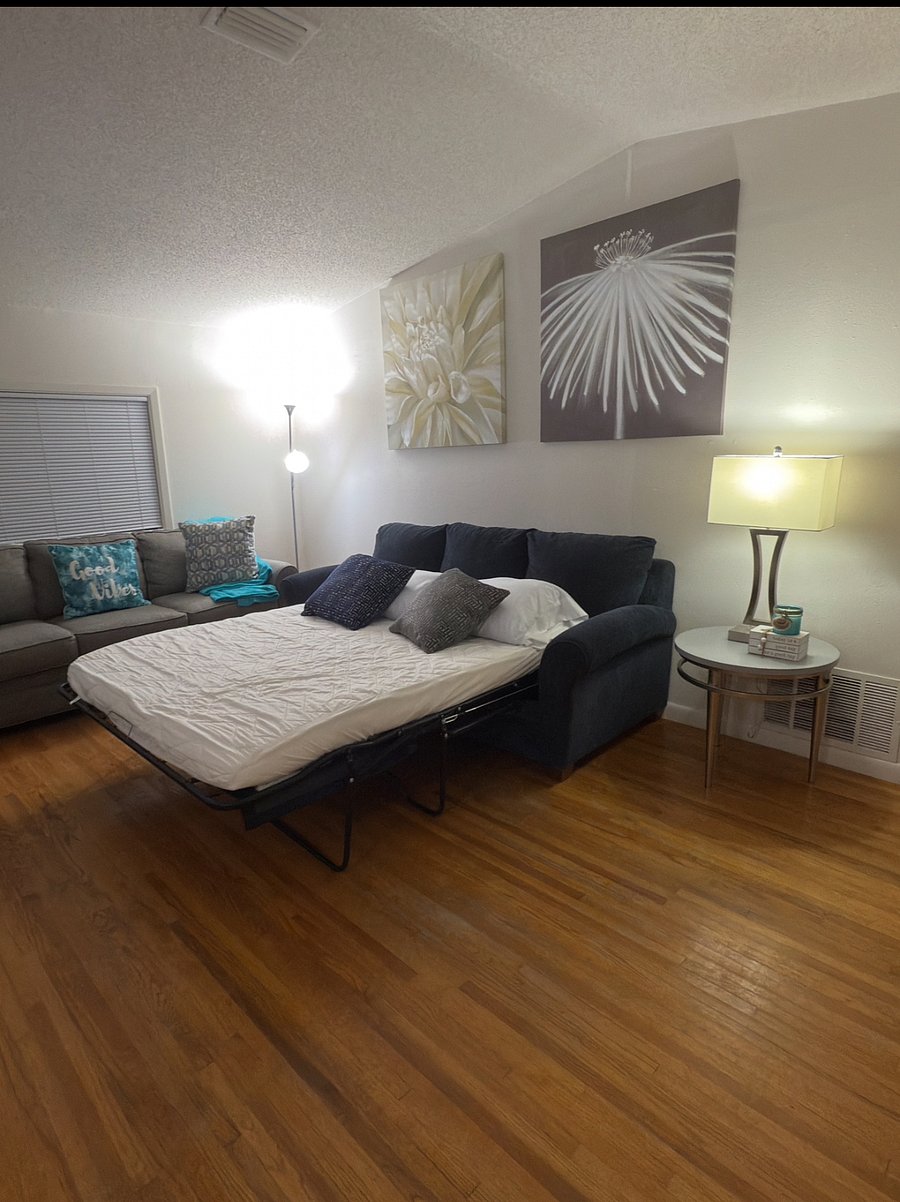 Living room with a sofa bed