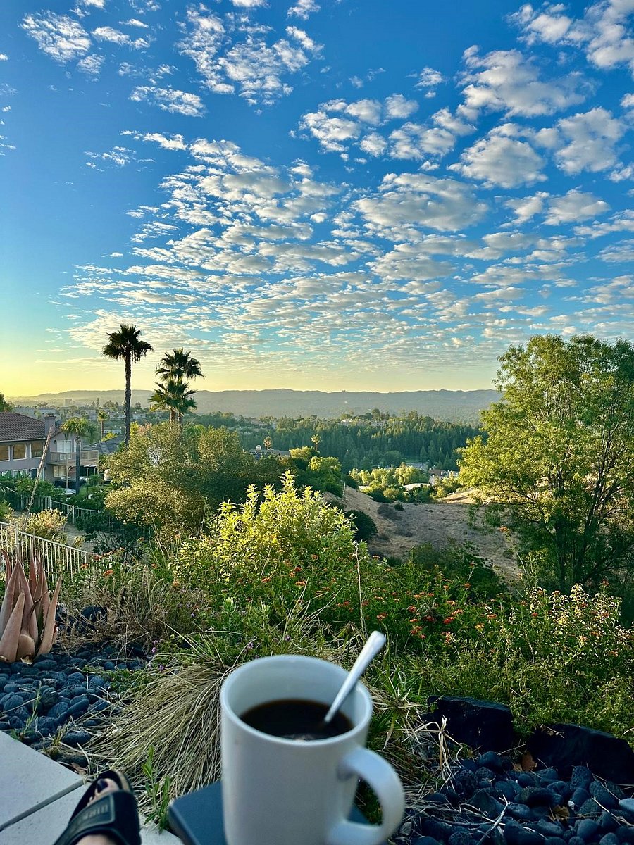 Views from patio