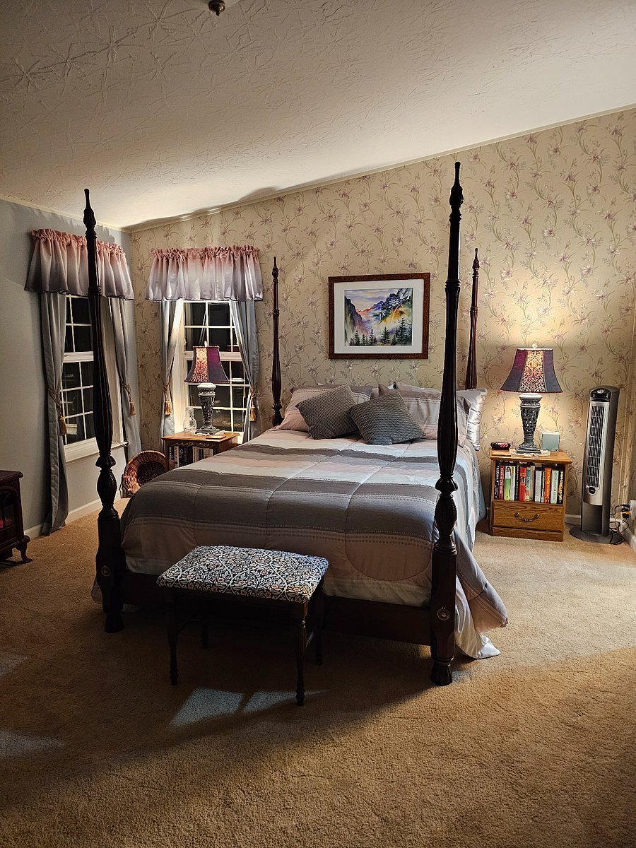 2 yr old Queen size bed and blackout curtains (Nobody has used the comforter or pillow shams)