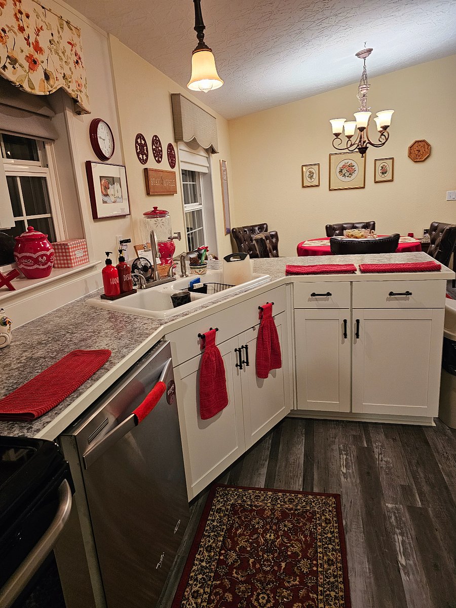 Stainless steel appliances, double sink . Plenty of cupboard and counter space.