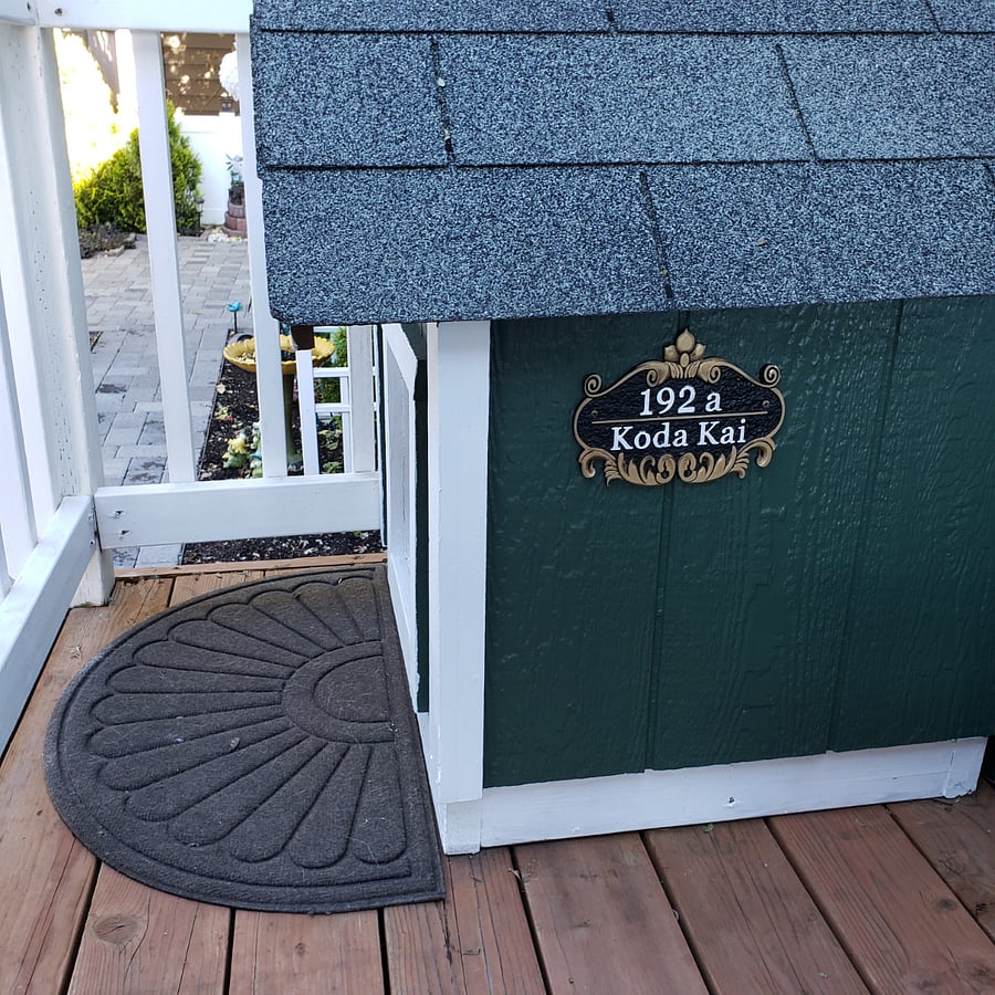 Dog house, leads down stairs to fenced backyard
