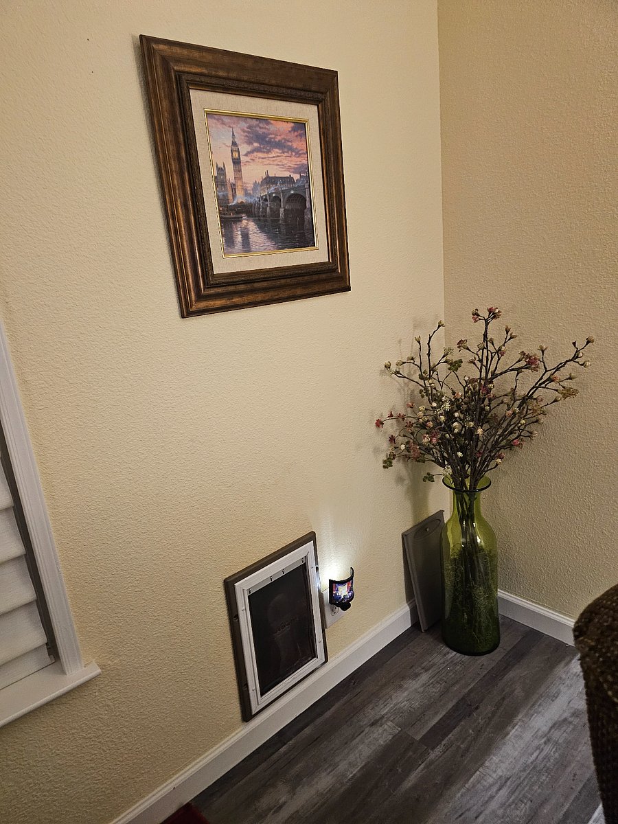 Doggie door from living room outdoors.
