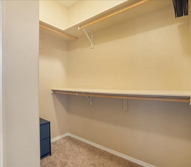 Primary Walk-in closet