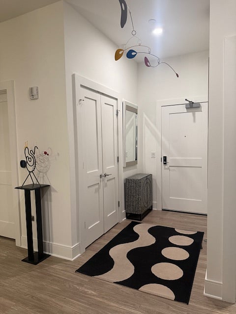 Apt Unit 517- Entry Foyer Area