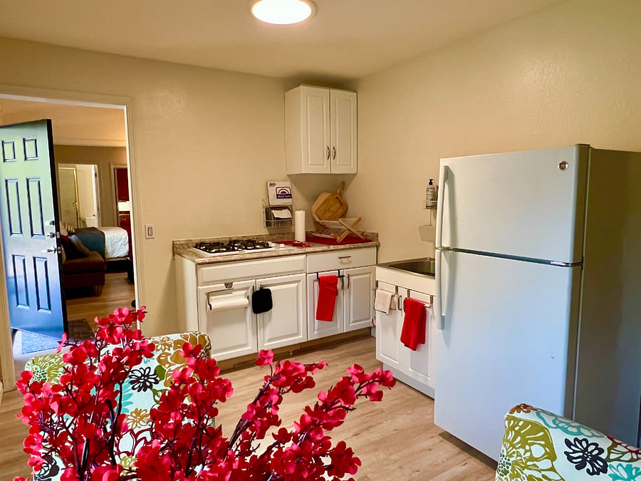 Gas stove, full size fridge