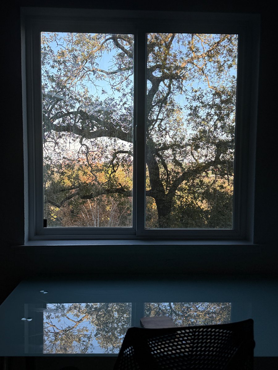 view from bedroom