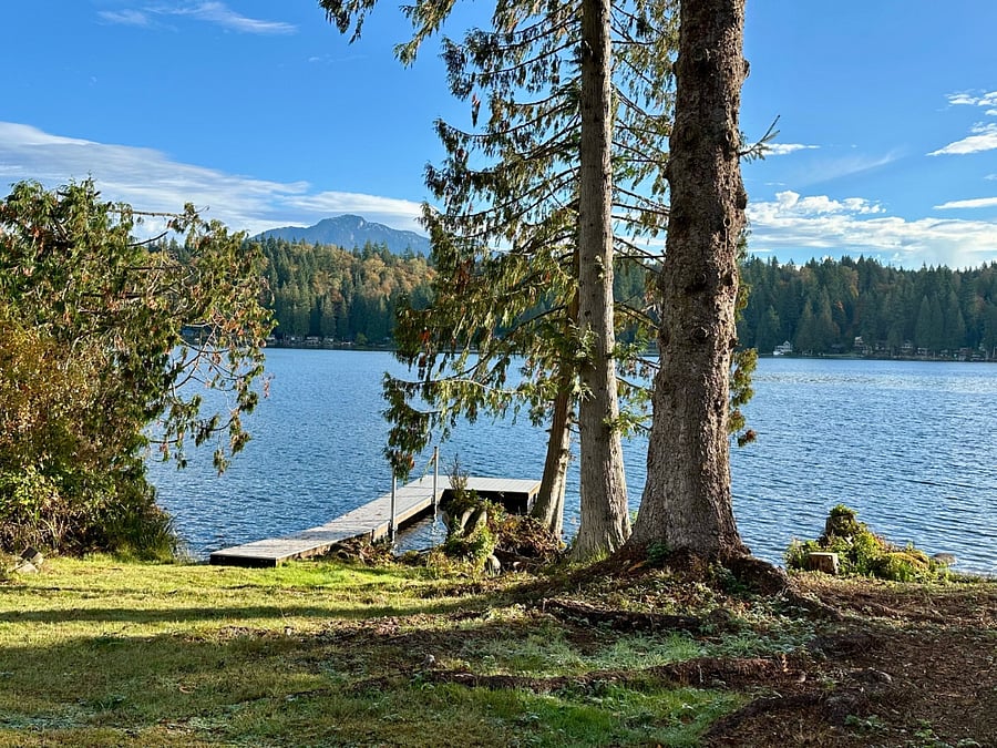 Western Red Cedars & Spruce frame the view while looking across the lake are Fir & Cedar trees.
