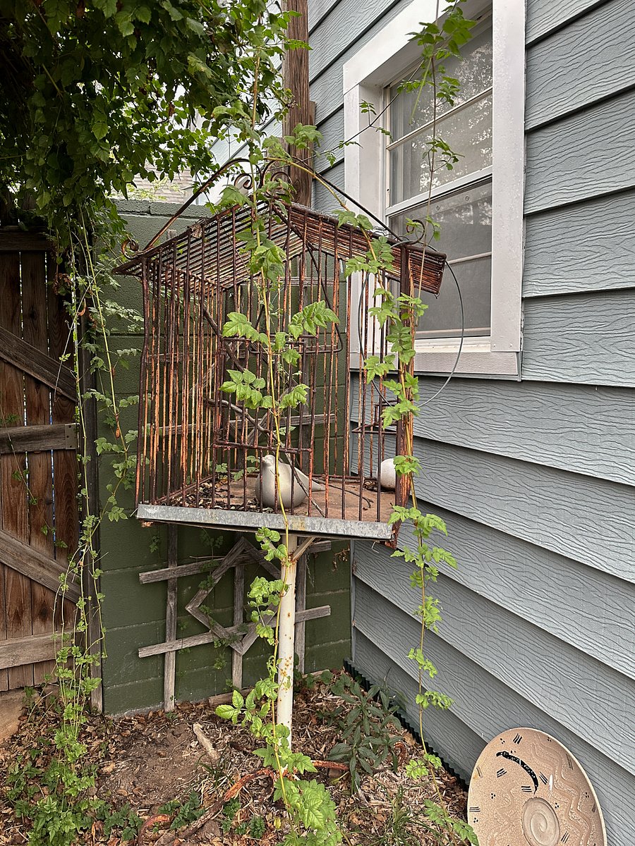 Back enclosed garden area view from bench of the kitchen window with vintage birdhouse.
