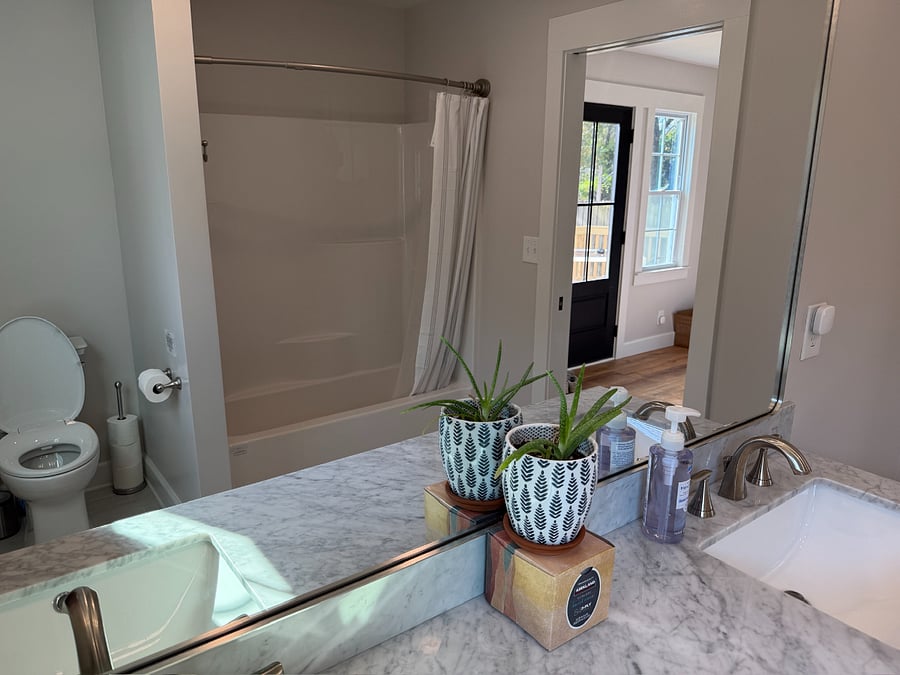 Top of vanity with living plant and tissue box.