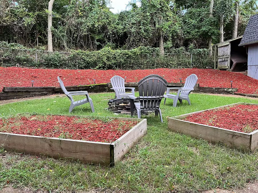 Furnished Finder property 928486_1 photo 15