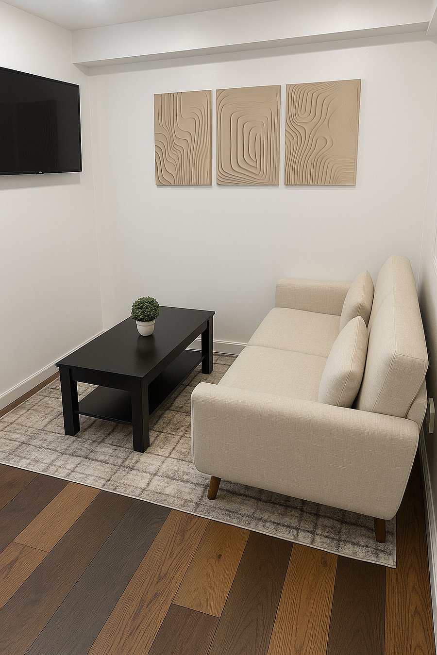 Living room with couch, coffee table (with storage) and TV.