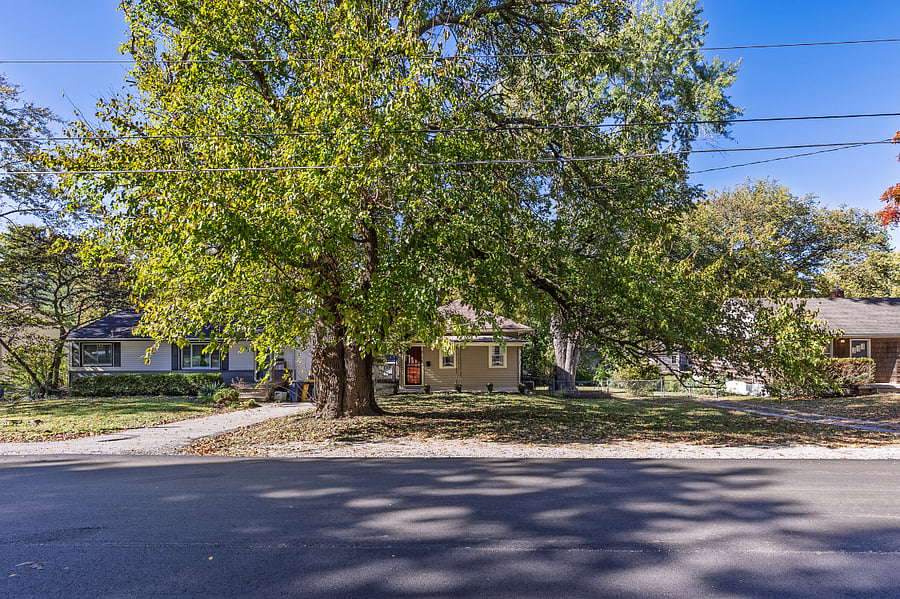Treelined street