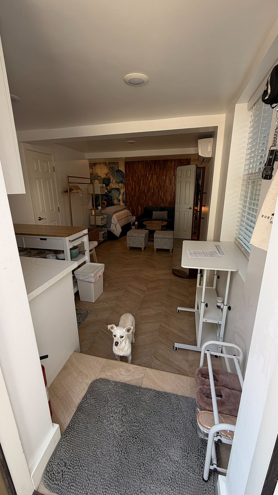 Dog not included :)