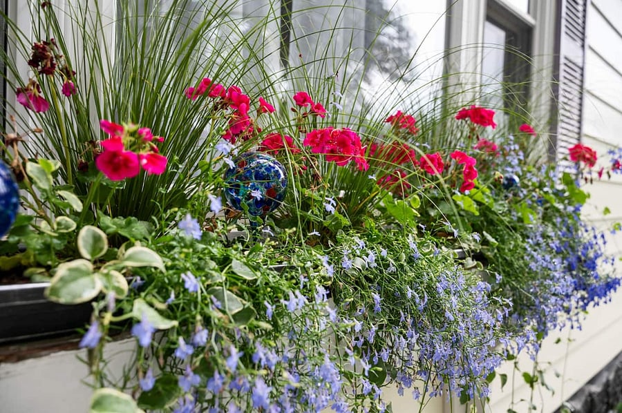 Flower boxes and various flowers surround the house