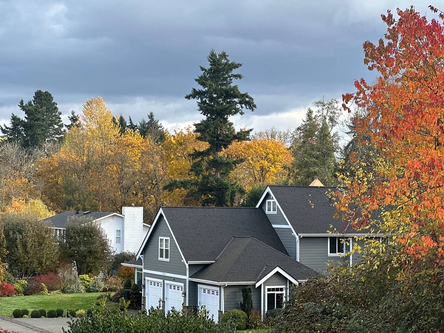 Our street and the neighbor's house.