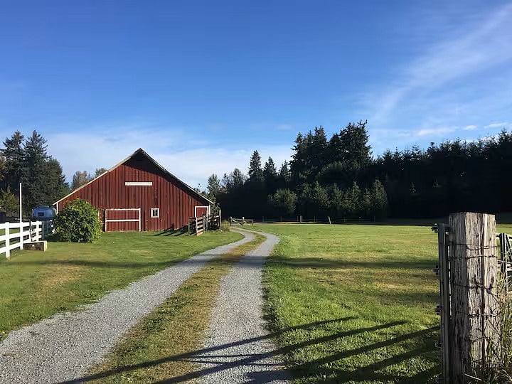 Beautiful barn and Christmas tree farm within walking distance to the house. There is also a plant nursery near our home.