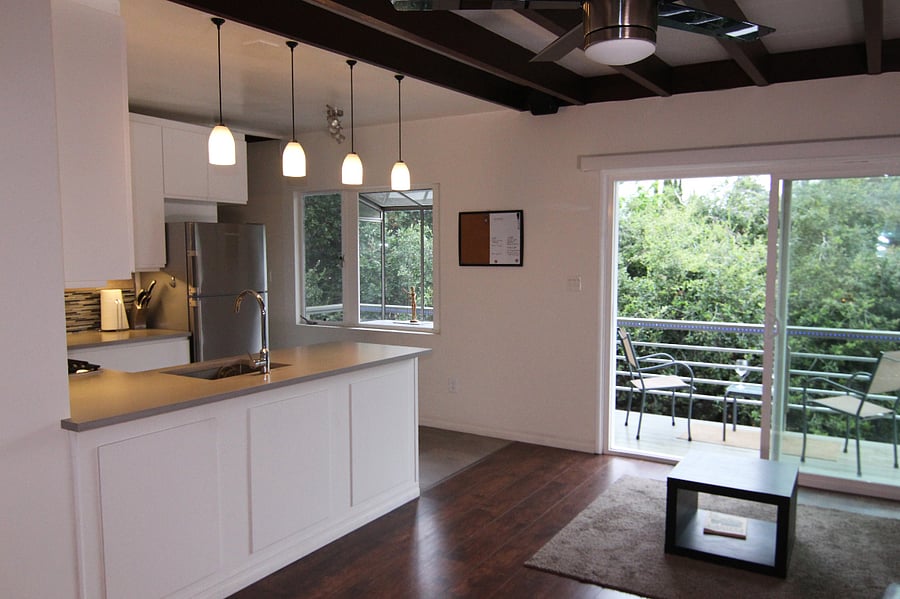 Living room and kitchen