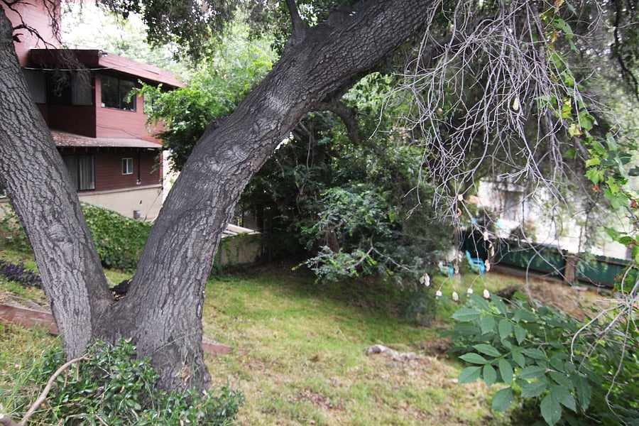 Back yard