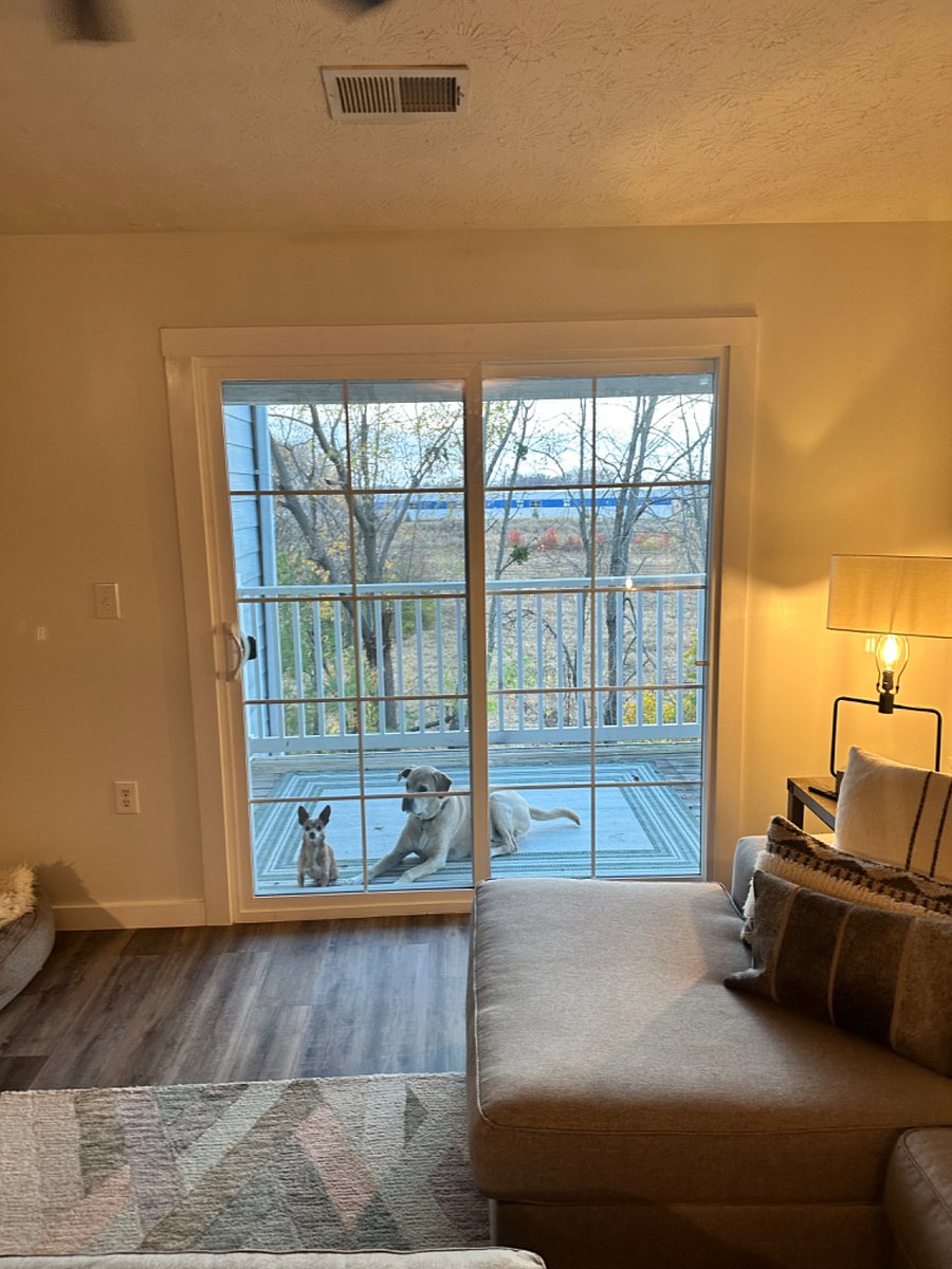 View out sliding door, porch. Woods behind unit