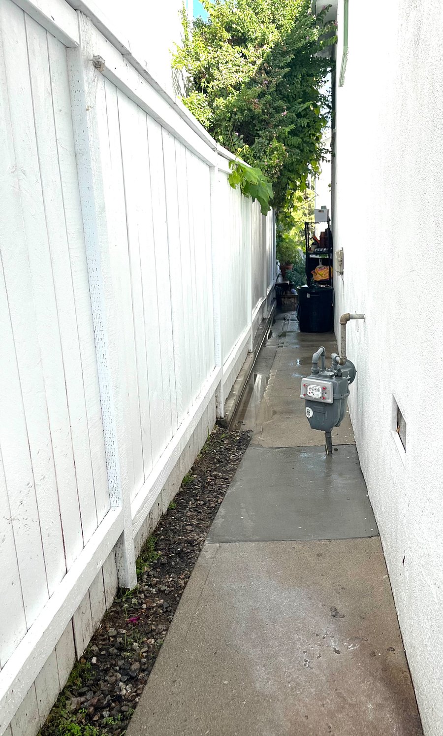 Side Yard
