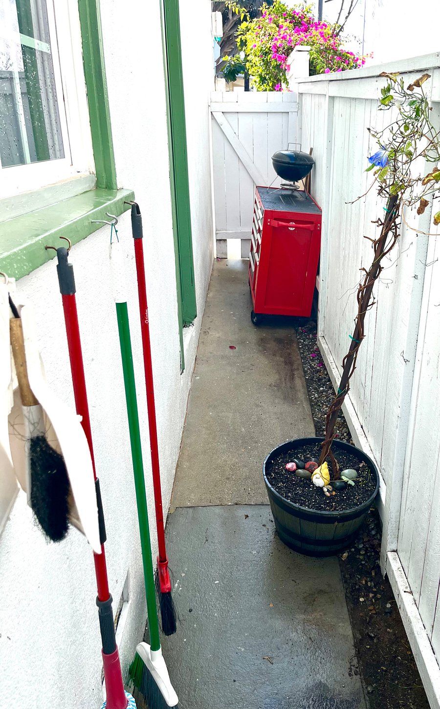 Side Yard
