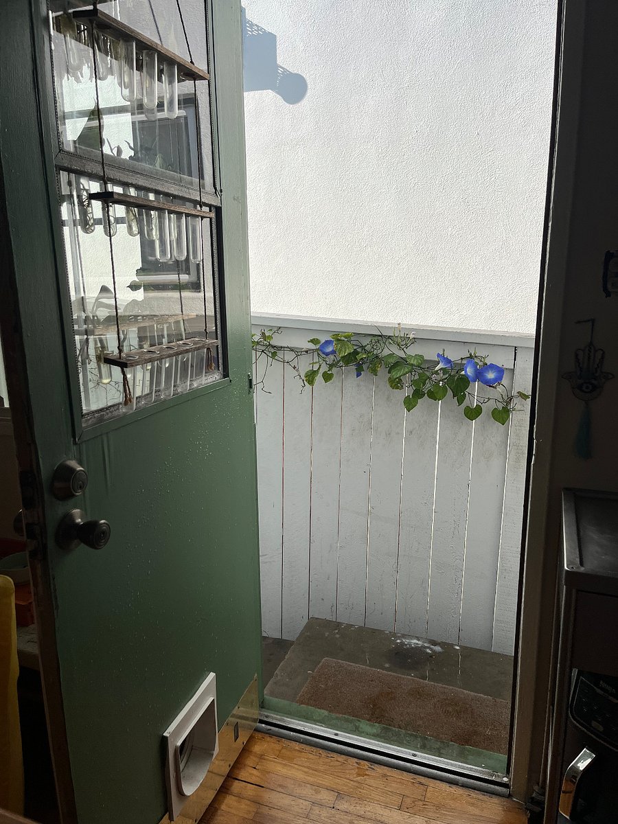 Back Door