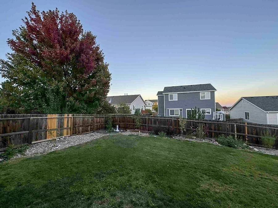 The back yard is a nice place to unwind after a long day. We are working on an edible landscape with fruit trees and berries.