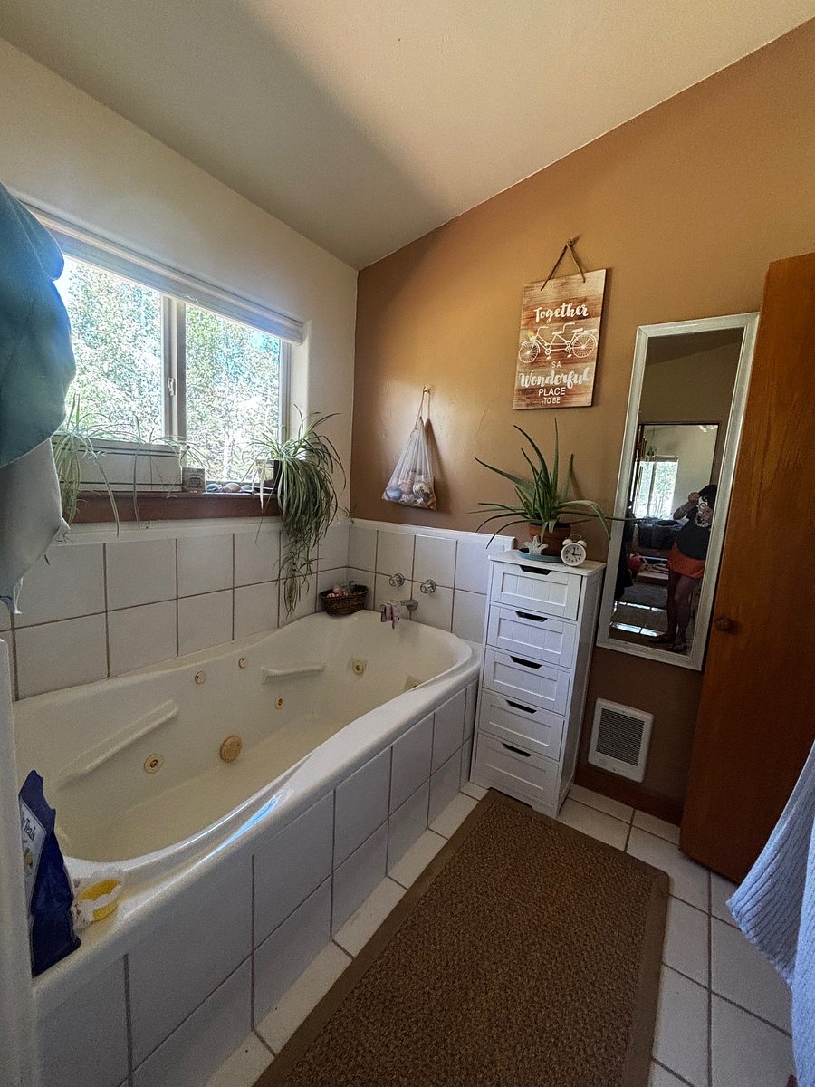 Master bathroom tub