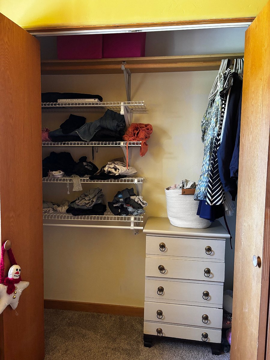 #1 Guest bedroom closet/storage
