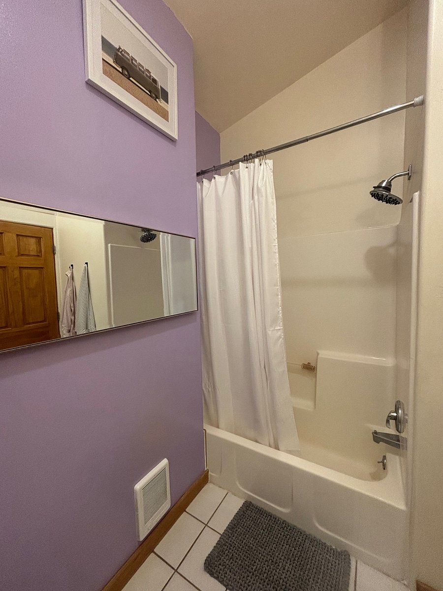 Hall bathroom shower