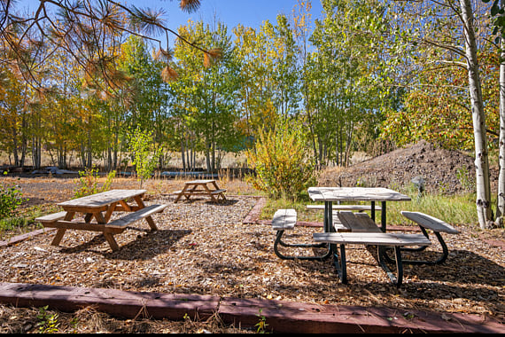 picnic area back yard of main house