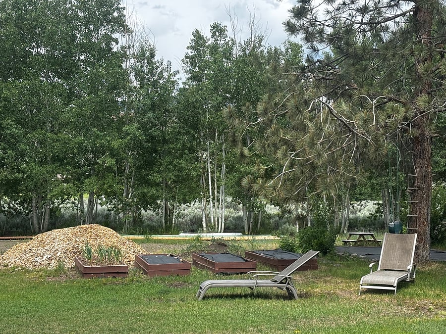 back yard garden beds