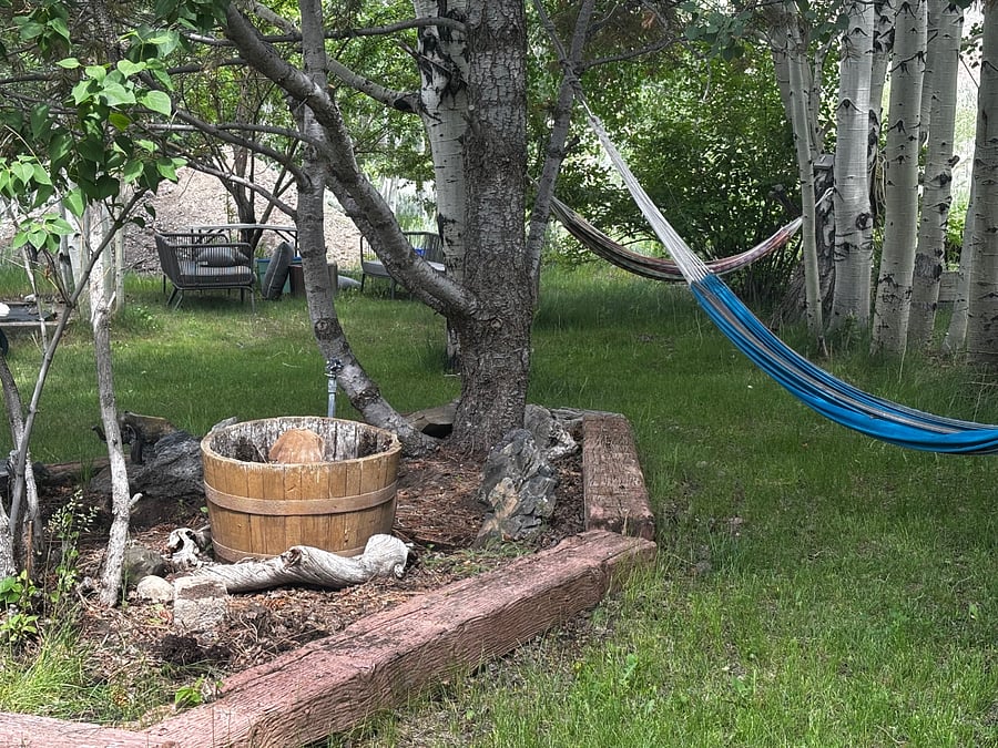 back yard hammocks