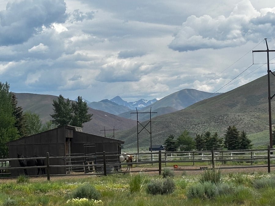 Back yard north view to Pioneer Mountains