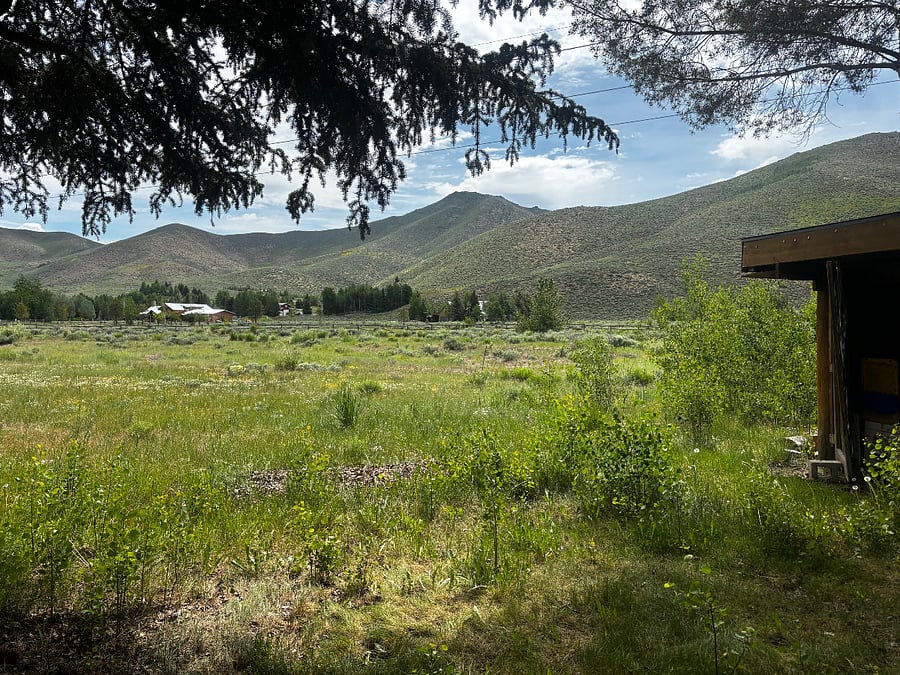 back yard east view