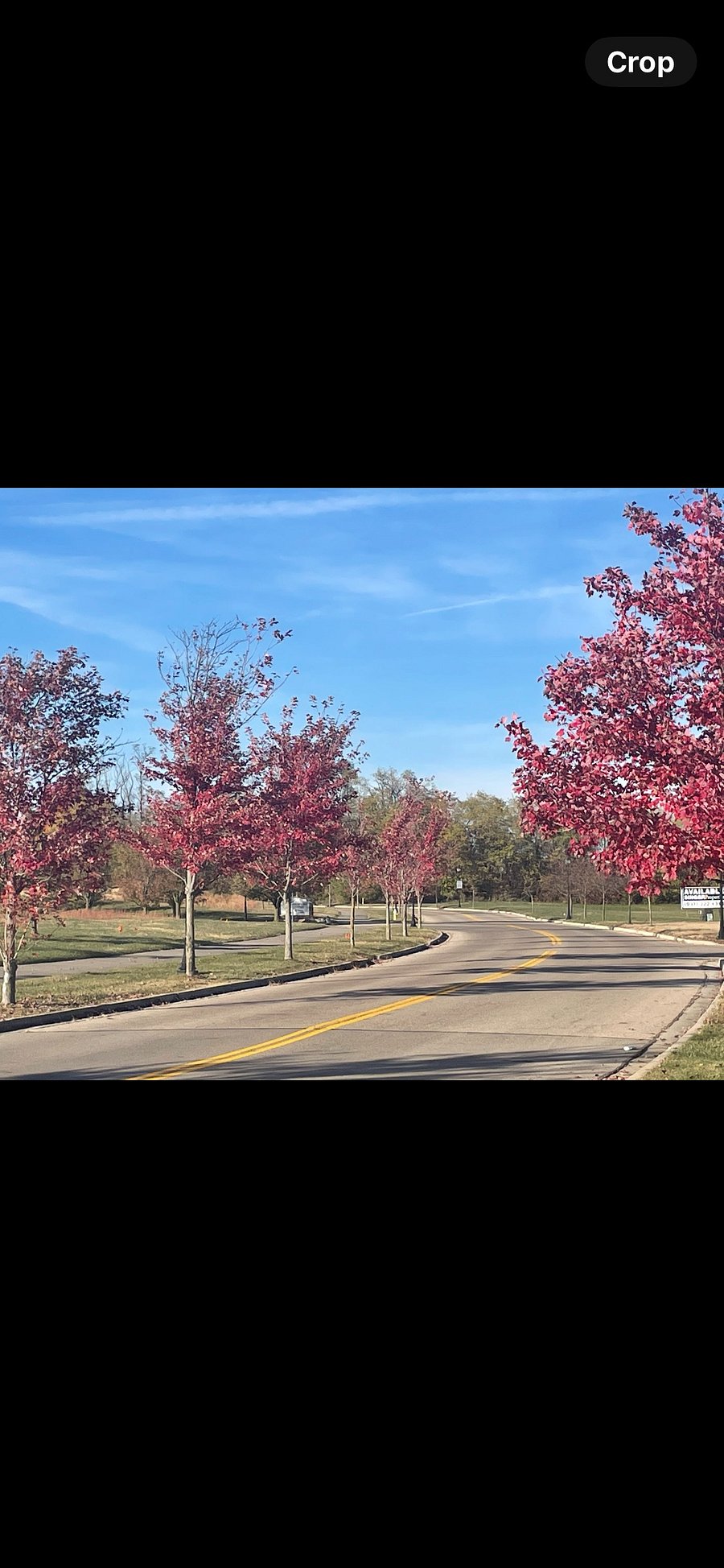 Tree-lined street, well lit and safe for a walk anytime. 
