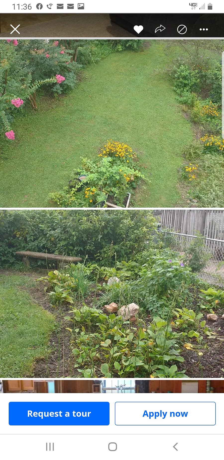 Enjoy figs, raspberries, herbs, pomegranates, flowers, etc.