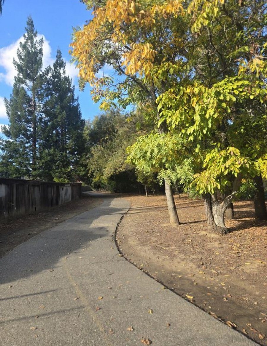 Walking path next to house.