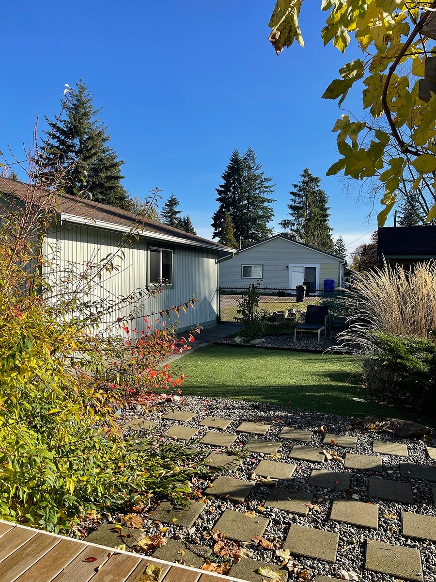 ARTIFICIAL TURF AREA