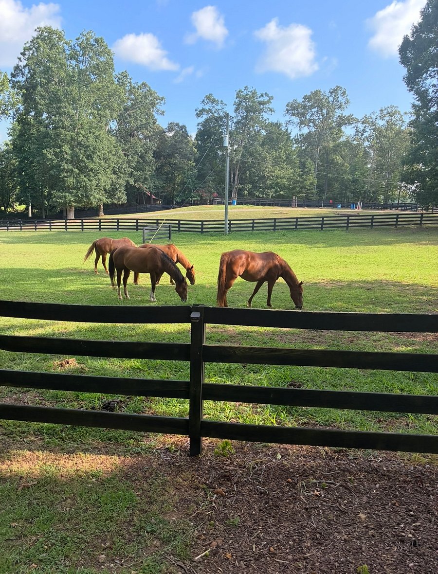 Horse Pasture - enjoy a view of the horse pature as you come through gates.