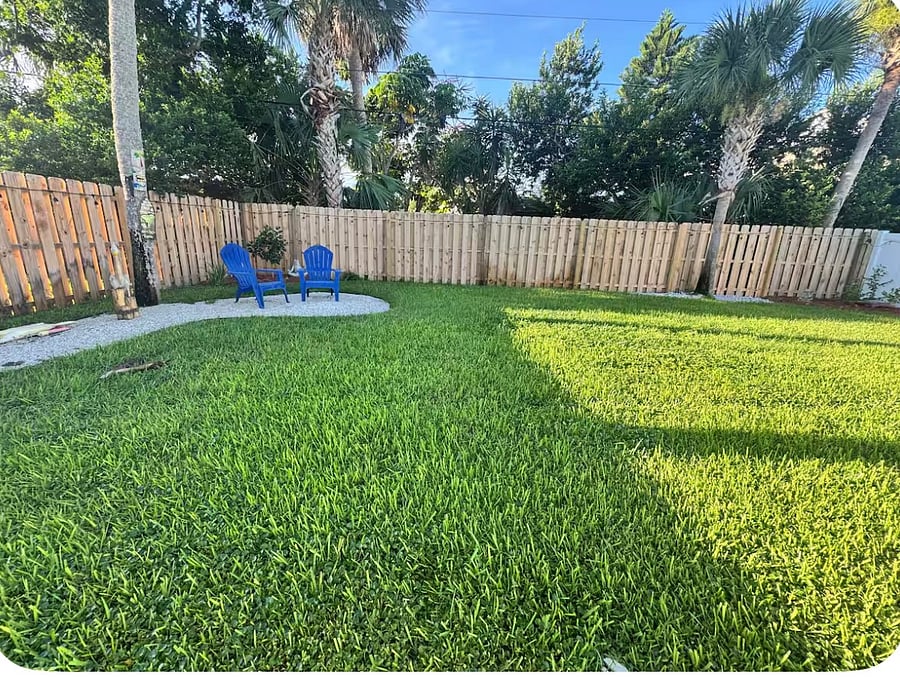 Back yard area