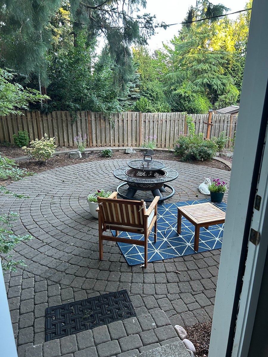 Patio outside kitchen door. Fire pit no longer there. Willing to share the cat : )