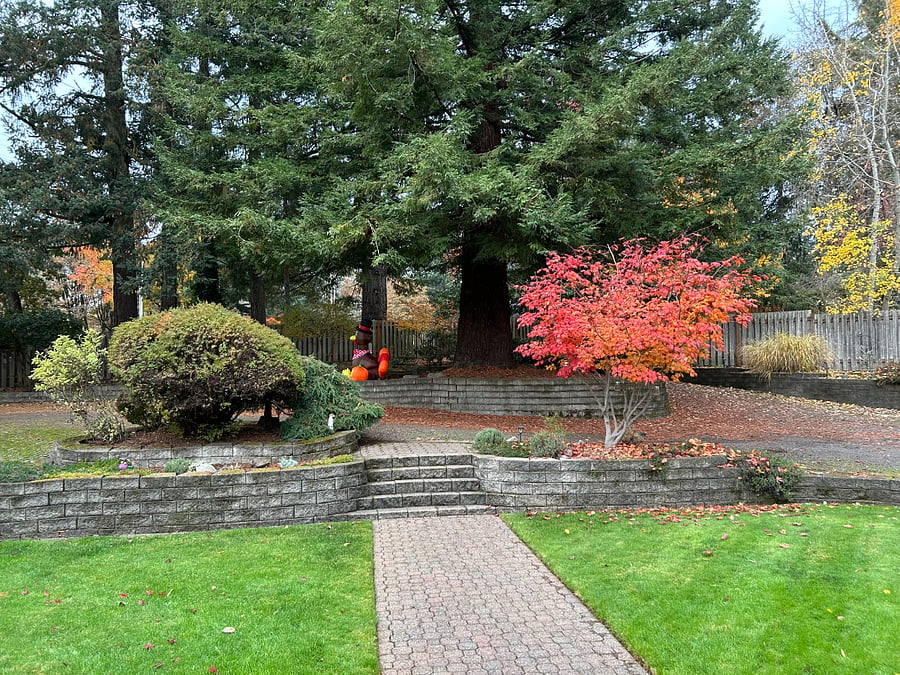 View of driveway