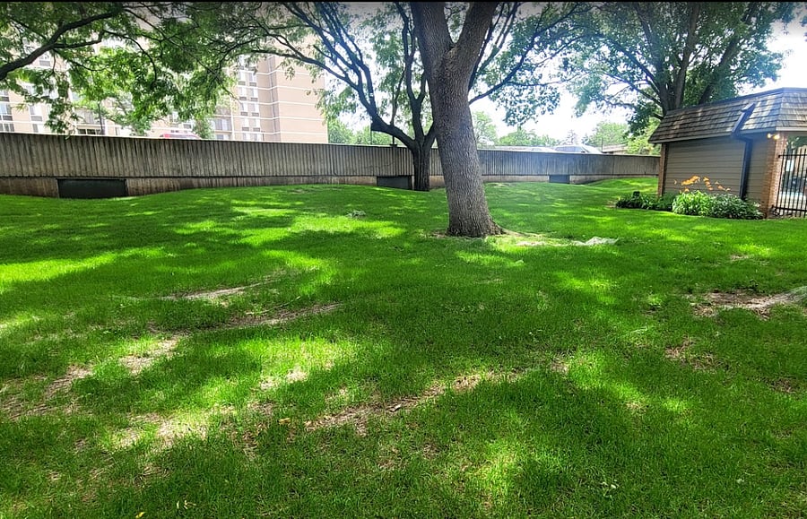 Private back yard off the patio
