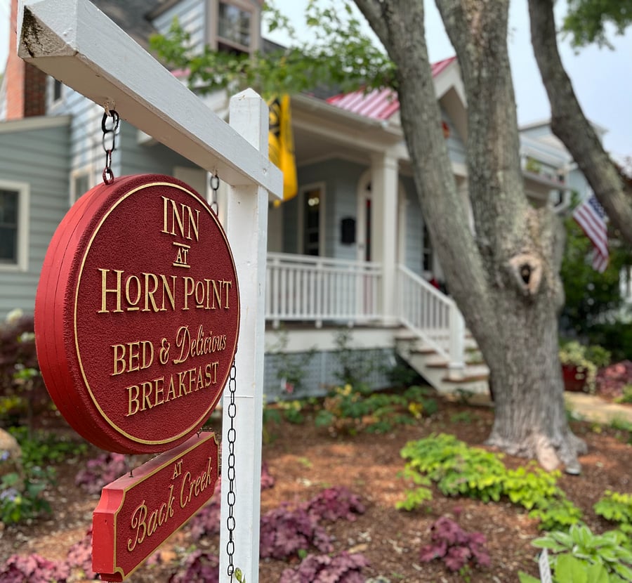 Our home is also our business. As a professionally run B&B you will find our home features and furnishings to be way above 'typical' rentals.