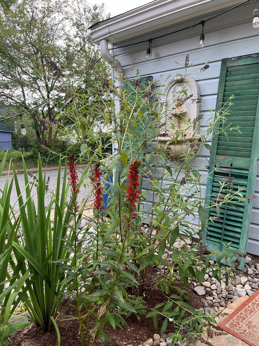 Landscaped areas abound.  