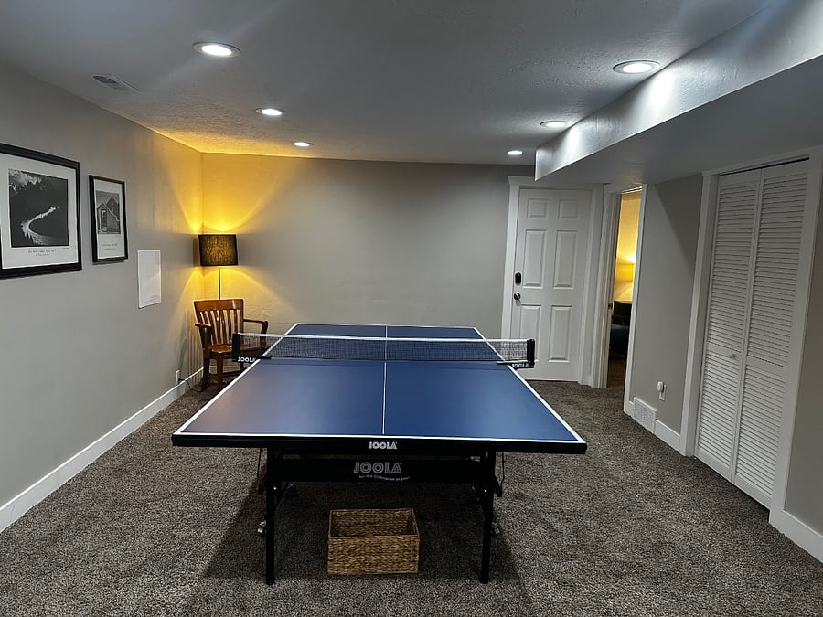 Basement Living Room