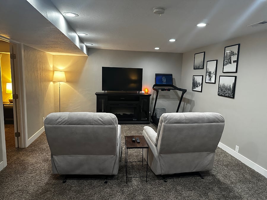 Basement Living Room