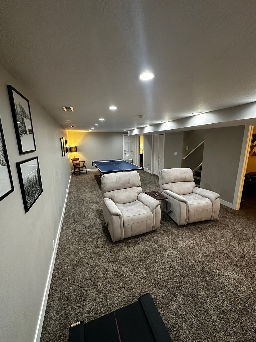 Basement Living Room